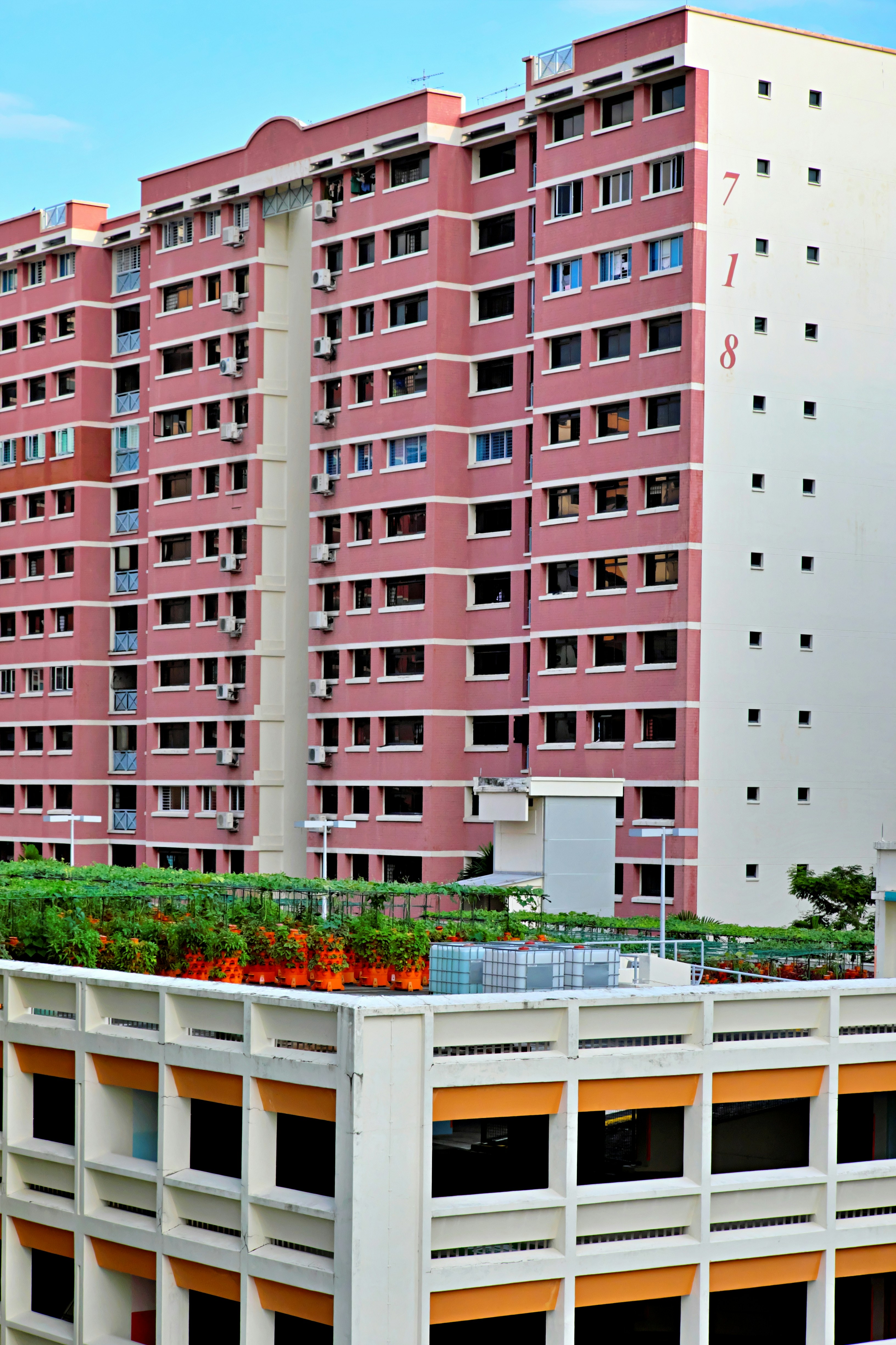 Property Development